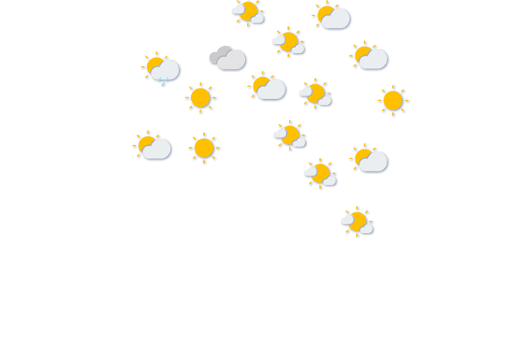 Forecast