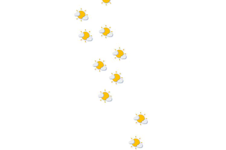 Forecast