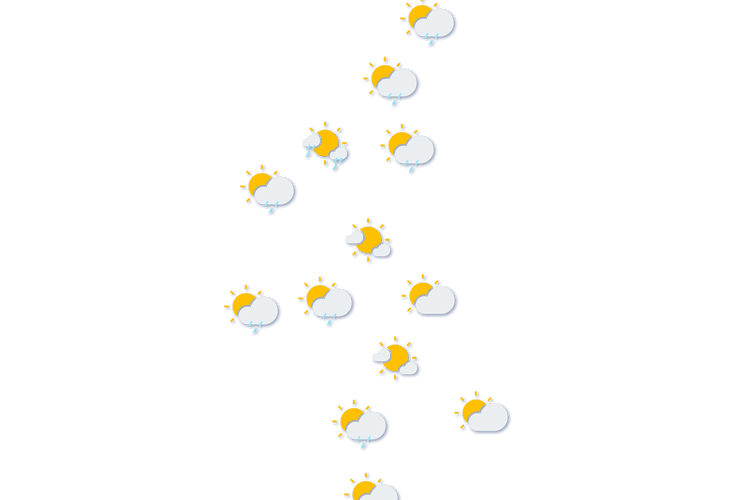 Forecast