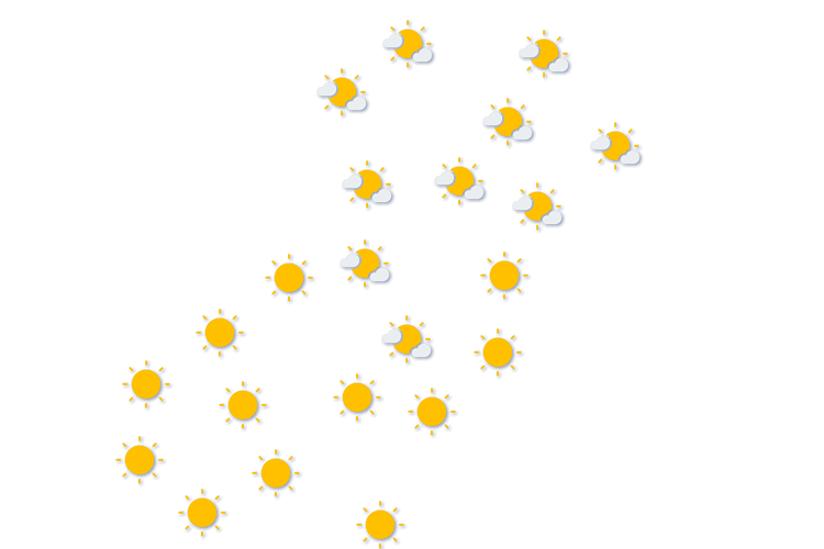 Forecast
