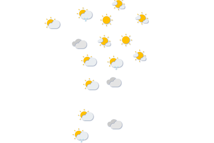 Forecast