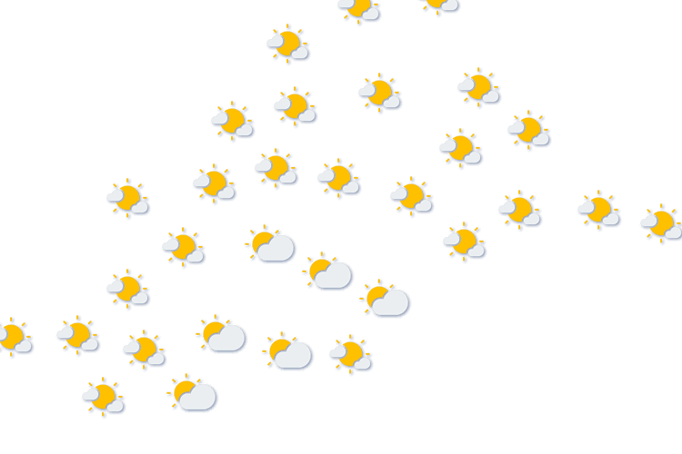 Forecast