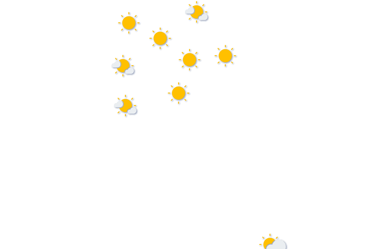 Forecast