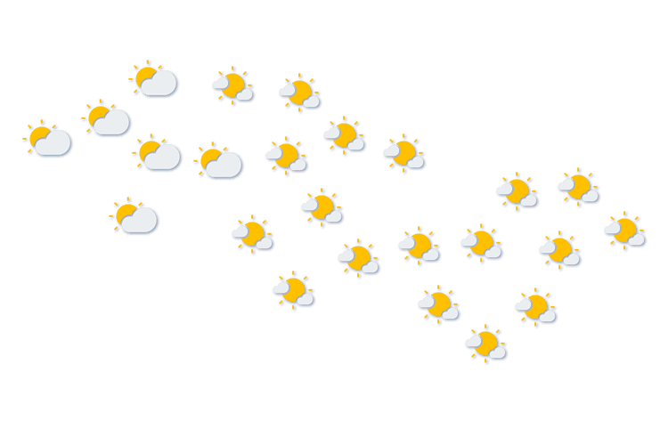 Forecast