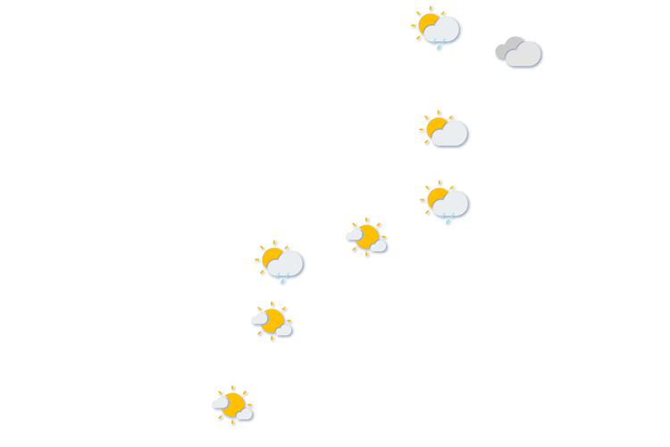 Forecast