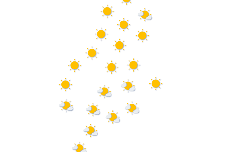 Forecast