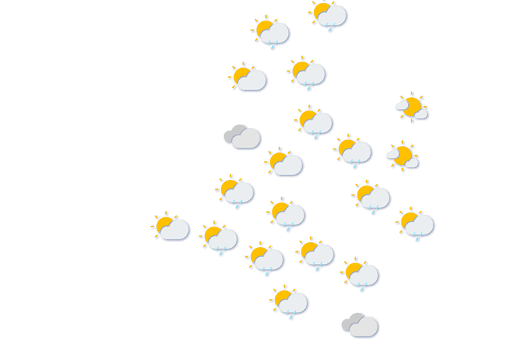 Forecast