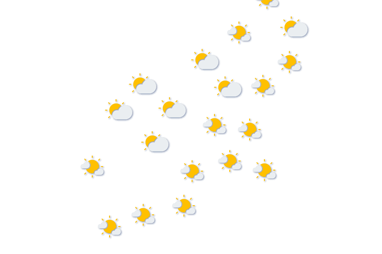 Forecast