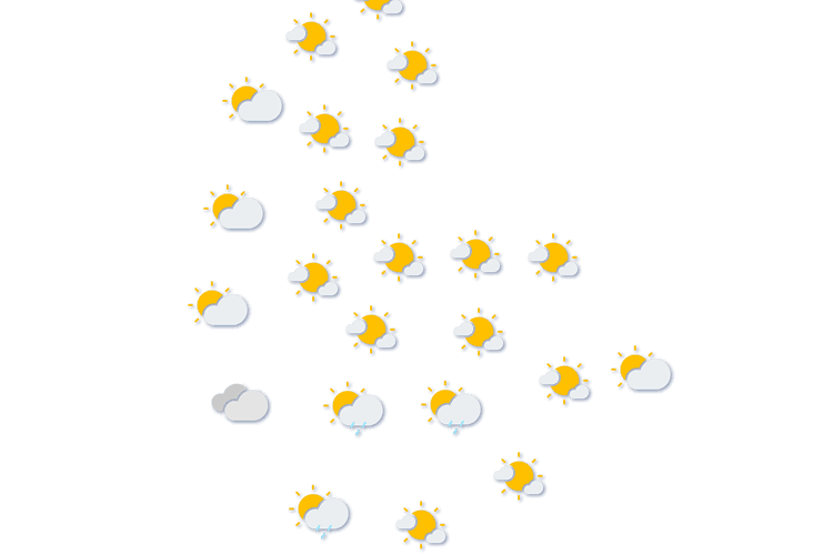 Forecast