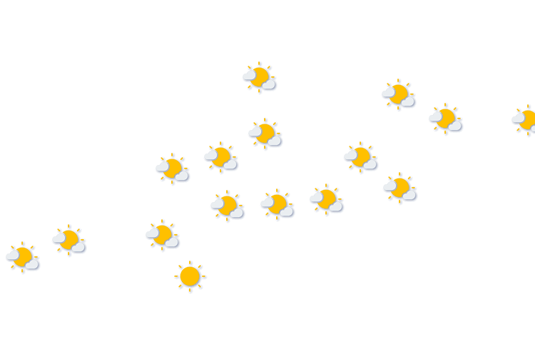 Forecast