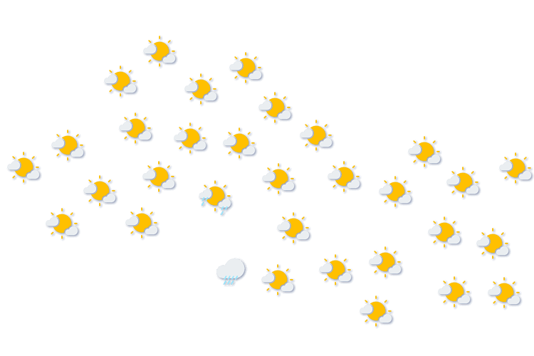 Forecast