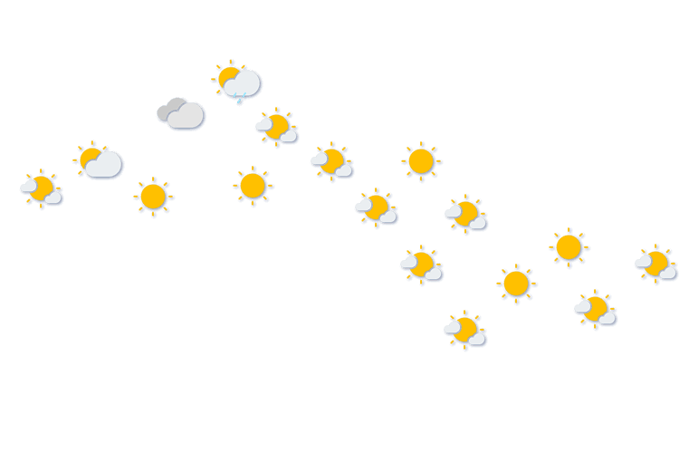 Forecast