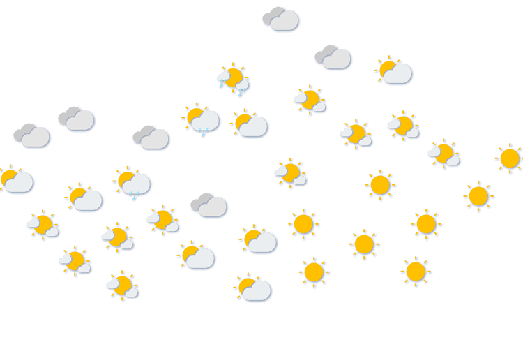 Forecast