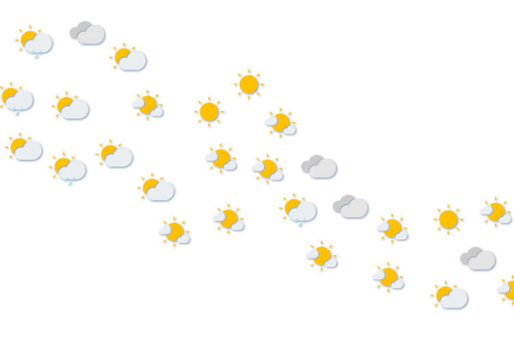 Forecast
