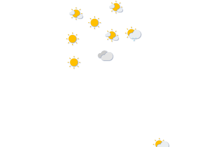 Forecast