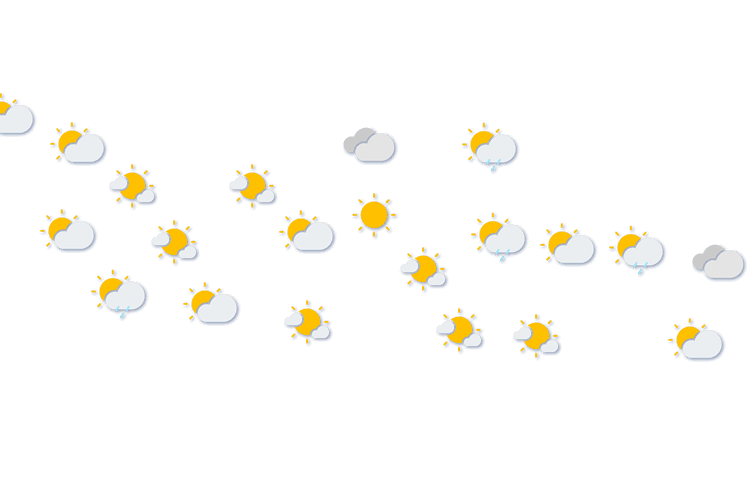 Forecast