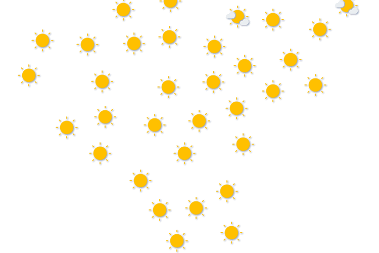 Forecast