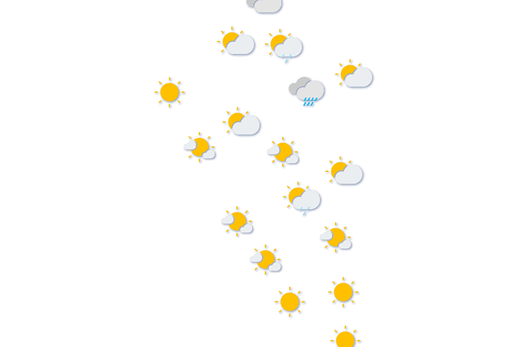Forecast