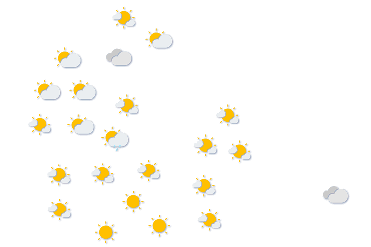 Forecast