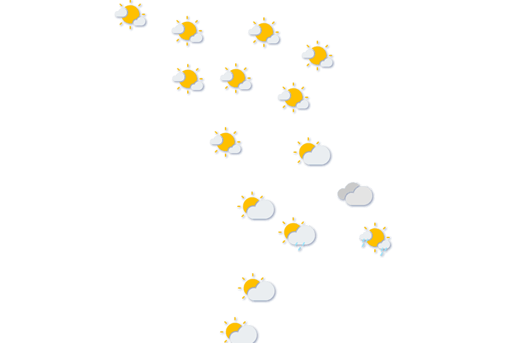 Forecast