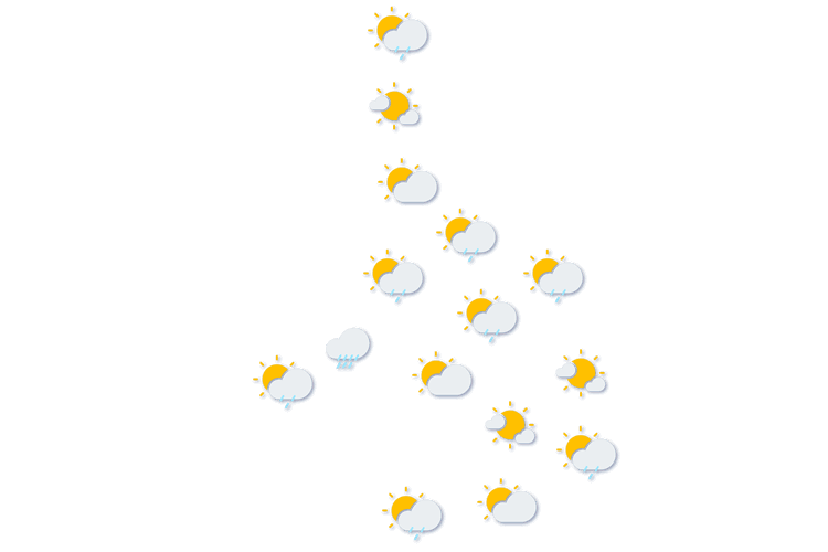 Forecast
