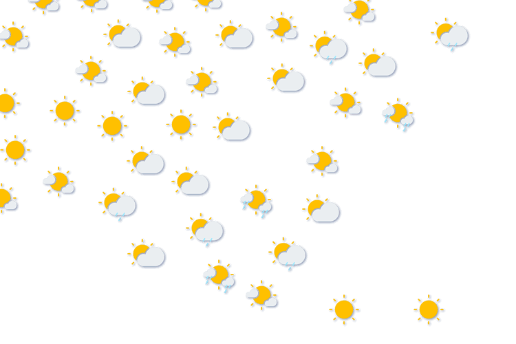 Forecast