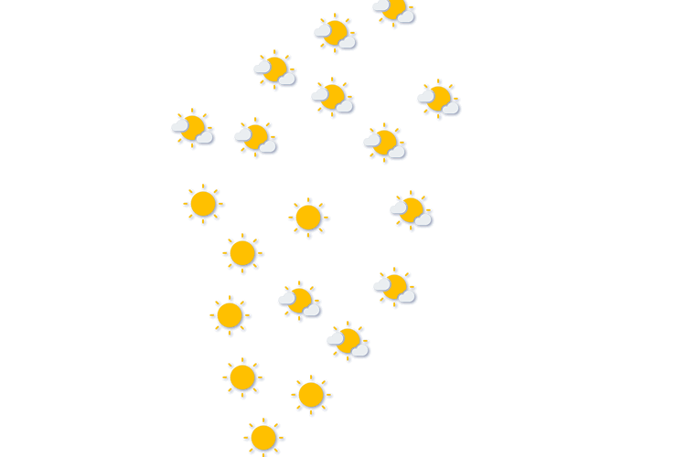 Forecast