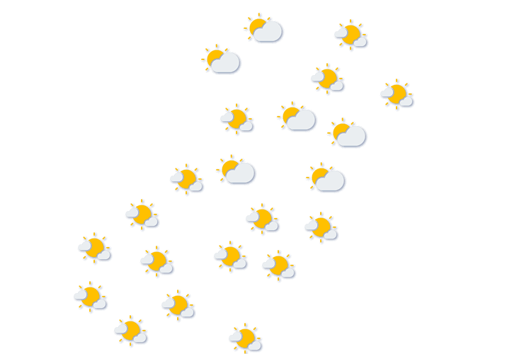 Forecast