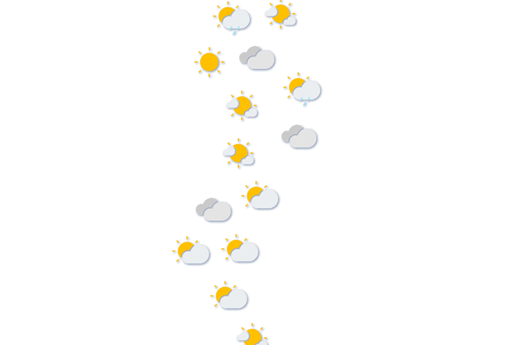 Forecast