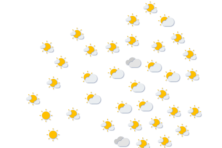 Forecast