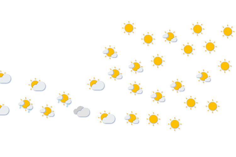 Forecast