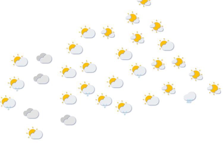 Forecast