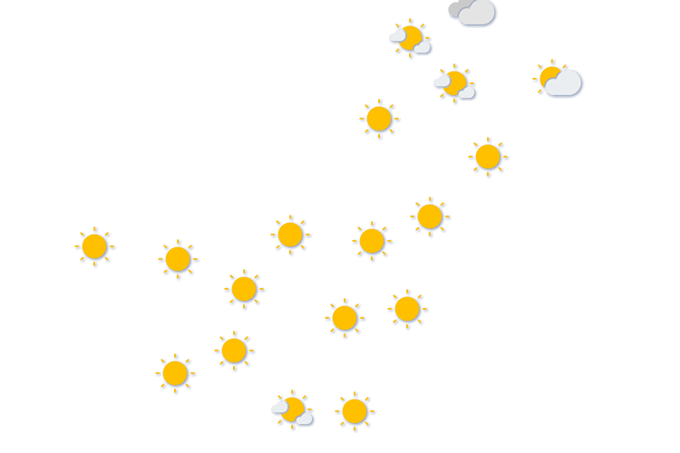 Forecast
