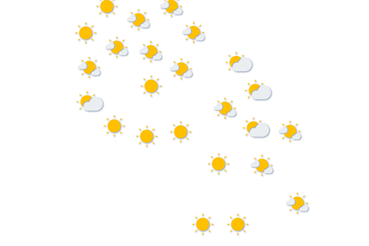 Forecast