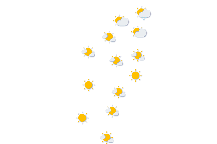 Forecast