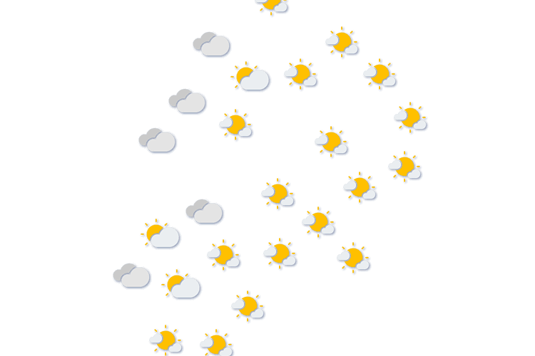 Forecast