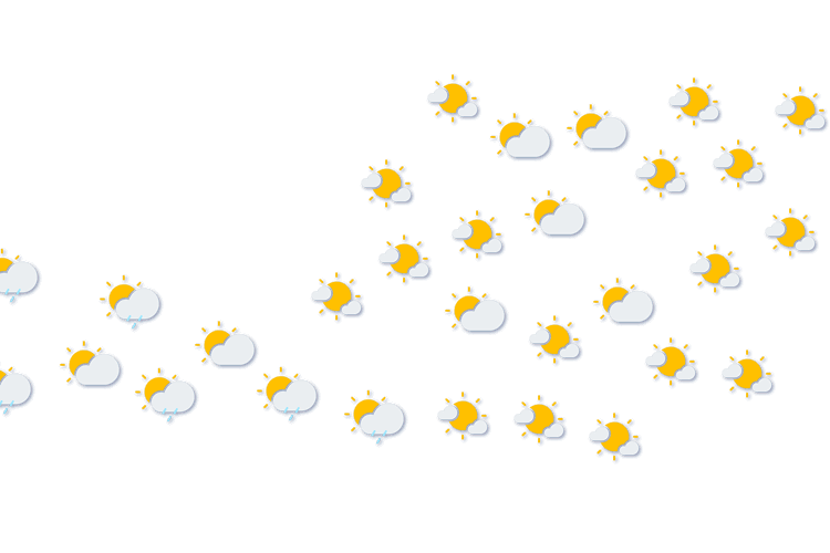 Forecast