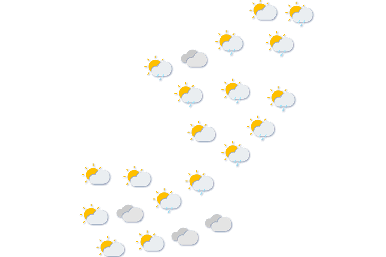 Forecast