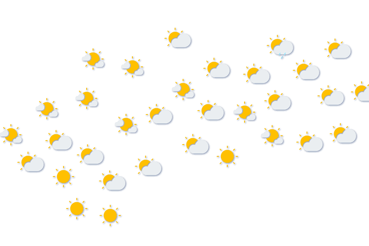 Forecast