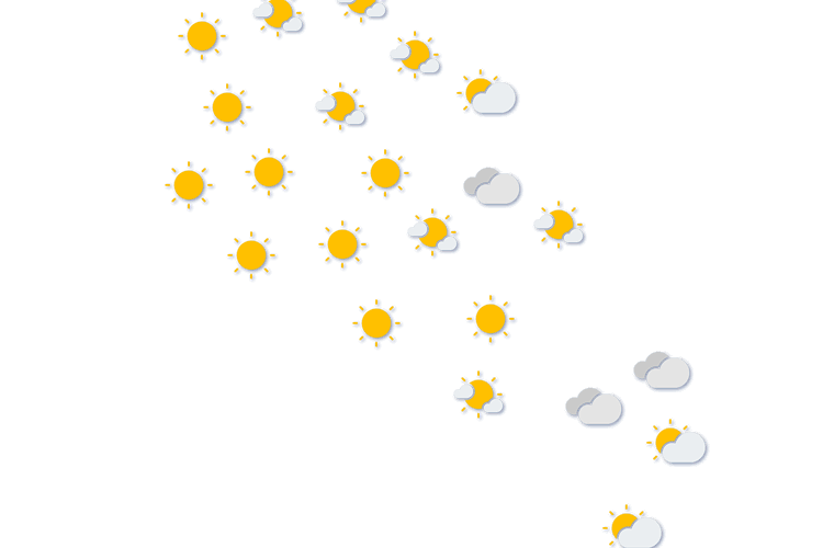 Forecast