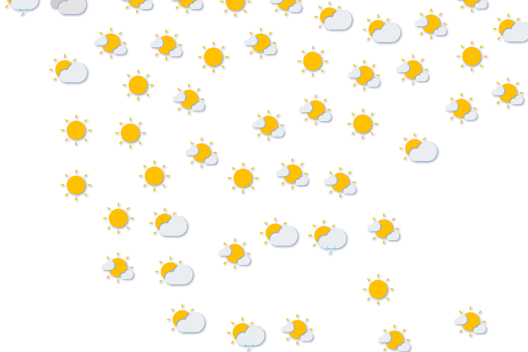 Forecast