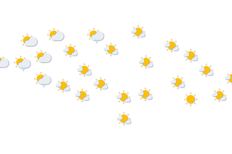 Forecast