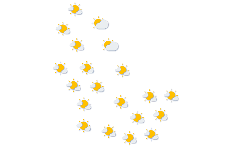 Forecast