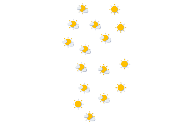 Forecast