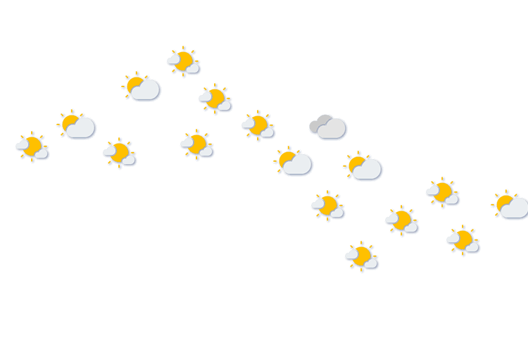Forecast