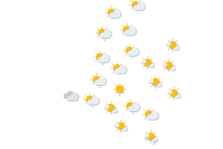 Forecast