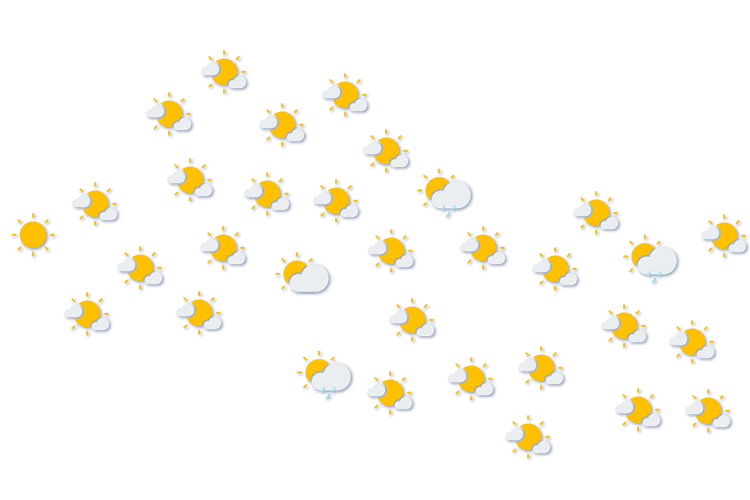 Forecast