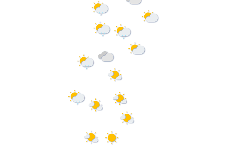 Forecast