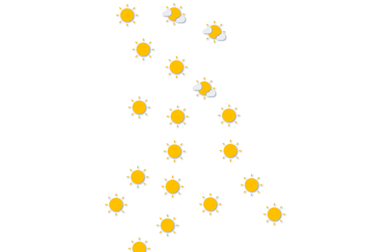 Forecast