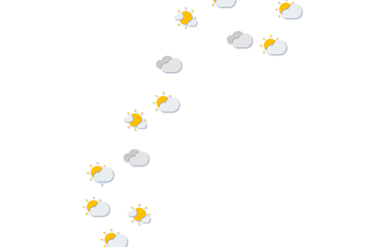 Forecast